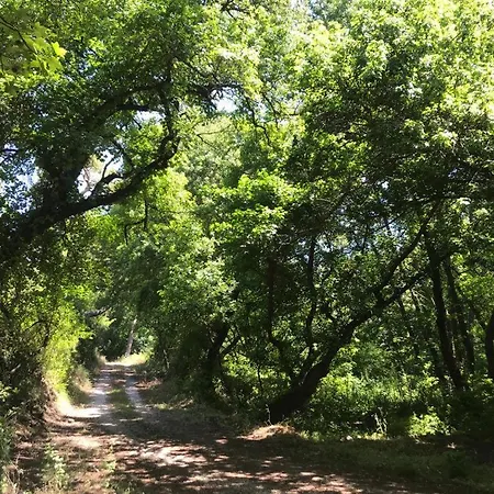 בית נופש Daidala Life *