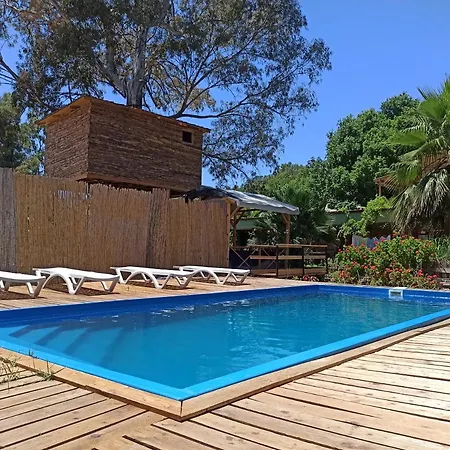 Daidala Life גוג'ק