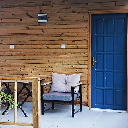 Daidala Life גוג'ק