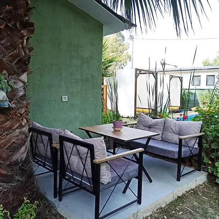 Daidala Life גוג'ק