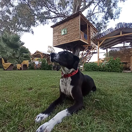 Daidala Life בית נופש