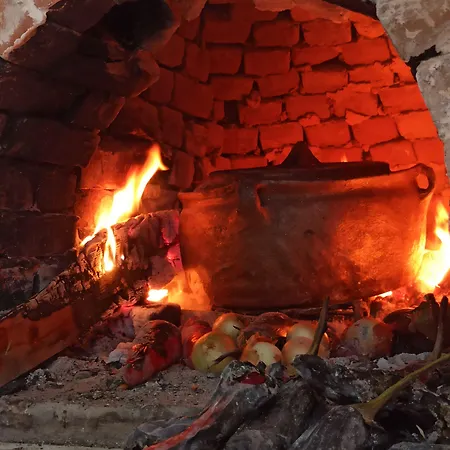 Daidala Life * גוג'ק