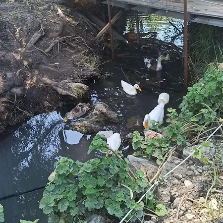 Daidala Life Ferienhaus *