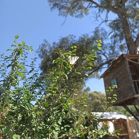 Daidala Life בית נופש גוג'ק