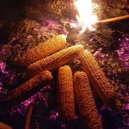 Daidala Life Ferienhaus Göcek
