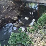 Daidala Life Дом отдыха *