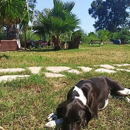 בית נופש Daidala Life גוג'ק