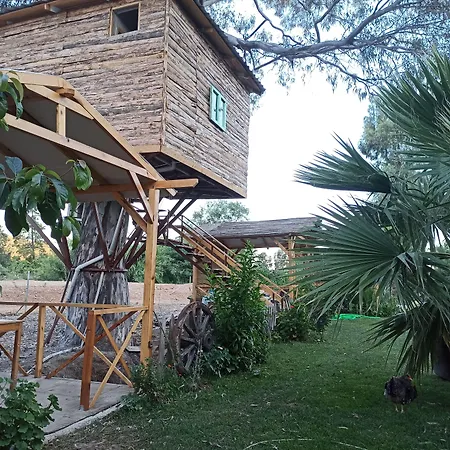Holiday home Daidala Life *