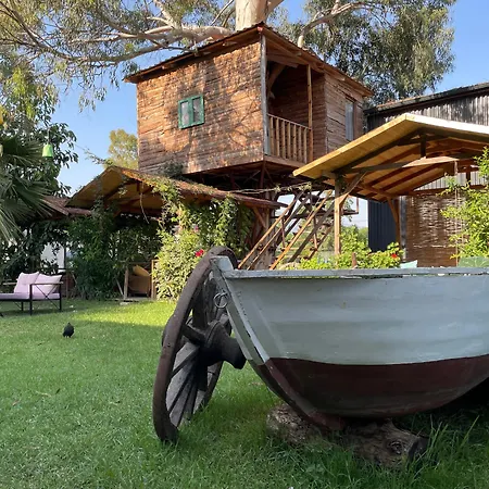 Daidala Life Fethiye