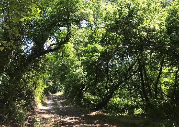 Casa de Férias Daidala Life *