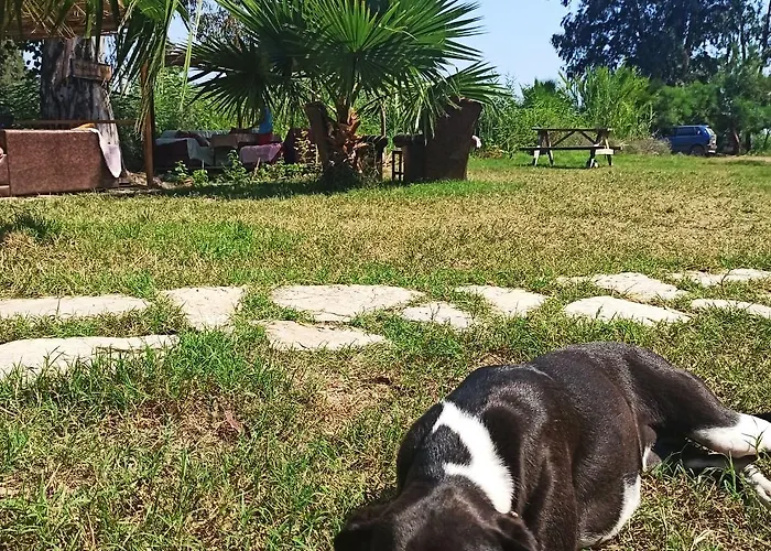 Vakantiehuis Daidala Life Göcek