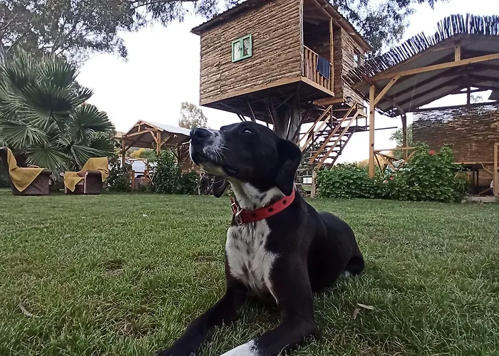 Daidala Life Casa de Férias