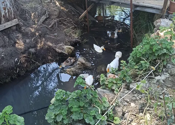 Daidala Life Vakantiehuis *