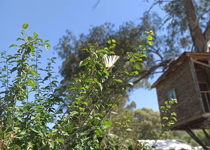 Daidala Life Vakantiehuis Göcek